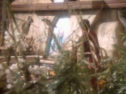 Filename=extant_StarTrekDS9_1x15-Progress_01939.jpg
Filesize=228KiB
Dimensions=1200x900
Date added=Jun 12, 2019 extant_StarTrekDS9_1x15-Progress_01939.jpg