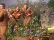 Filename=extant_StarTrekDS9_1x15-Progress_02101.jpg
Filesize=269KiB
Dimensions=1200x900
Date added=Jun 12, 2019 extant_StarTrekDS9_1x15-Progress_02101.jpg