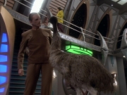 Filename=extant_StarTrekDS9_1x16-IfWishesWereHorses_01403.jpg
Filesize=192KiB
Dimensions=1200x900
Date added=Jun 12, 2019 extant_StarTrekDS9_1x16-IfWishesWereHorses_01403.jpg