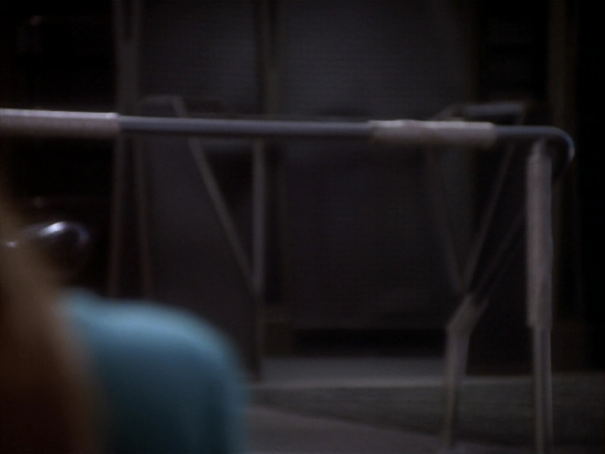 extant_StarTrekDS9_1x17-TheForsaken_02458.jpg