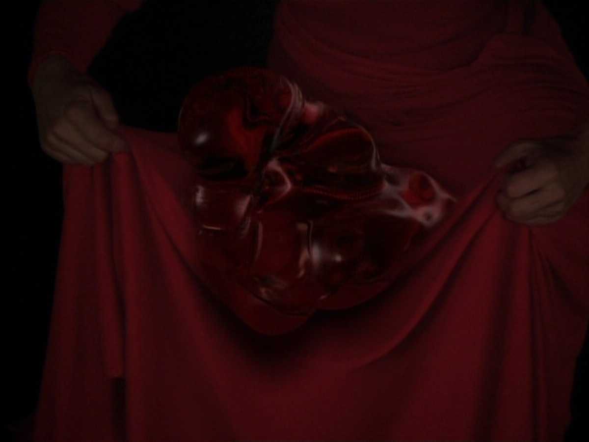 extant_StarTrekDS9_1x17-TheForsaken_03421.jpg