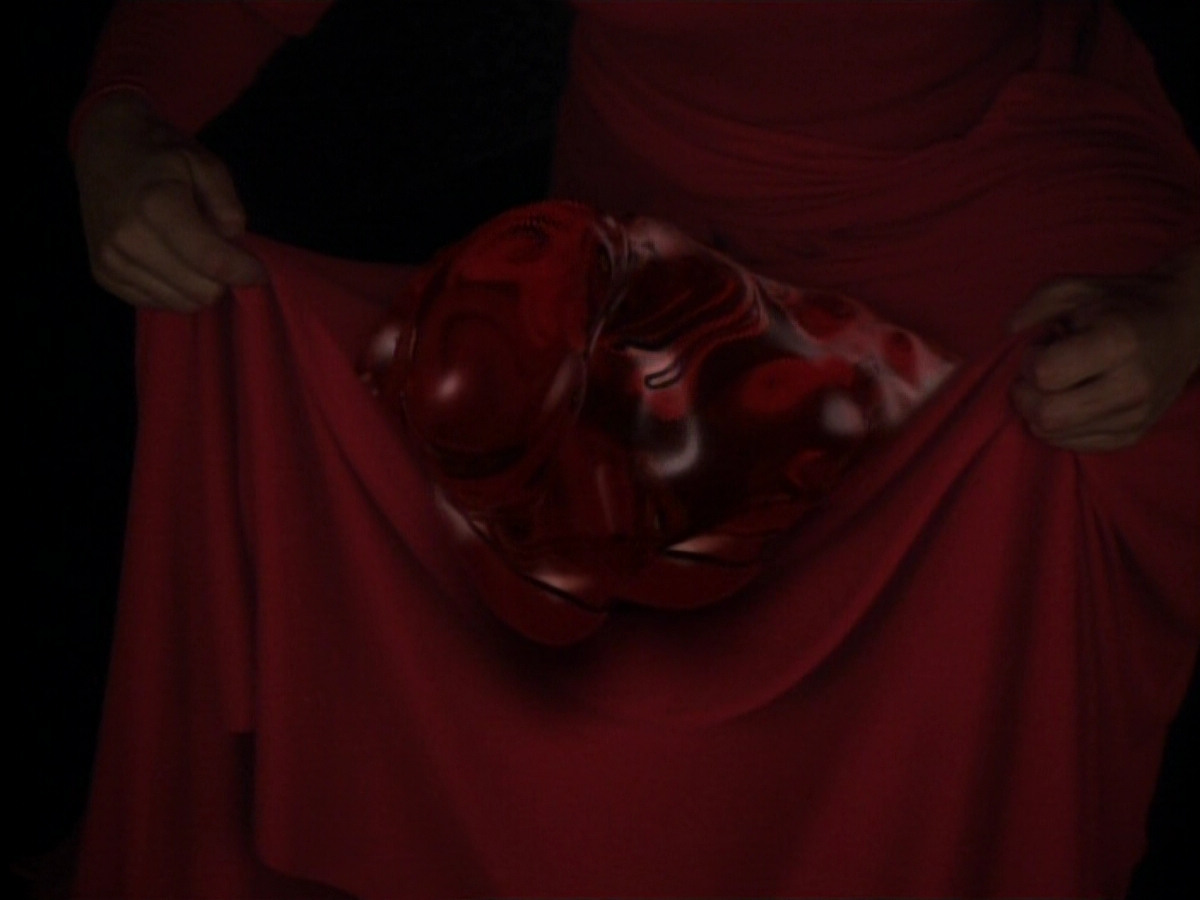 extant_StarTrekDS9_1x17-TheForsaken_03422.jpg