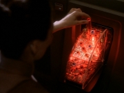 extant_StarTrekDS9_1x17-TheForsaken_02941.jpg