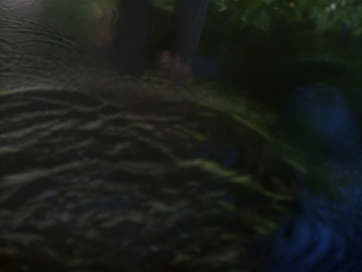 extant_StarTrekDS9_1x20-InTheHandsOfTheProphets_01554.jpg