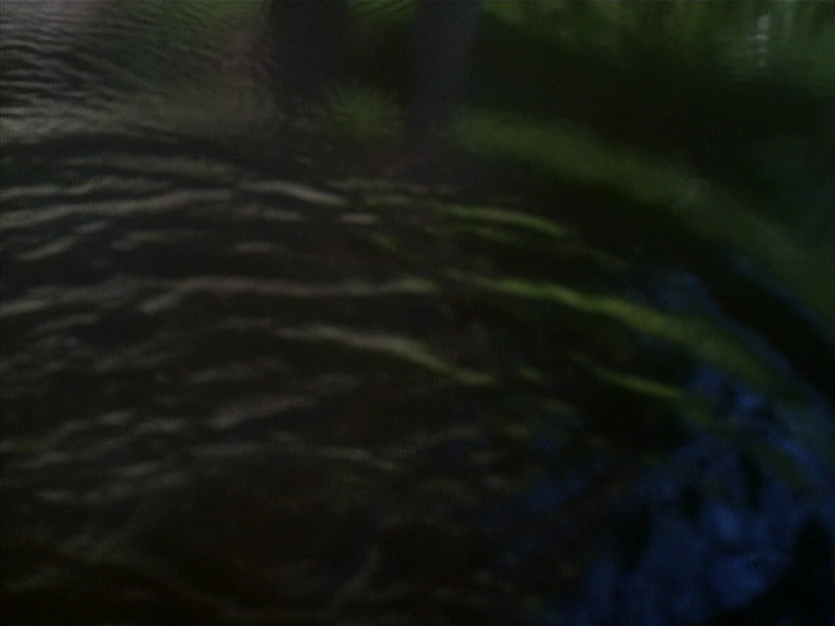 extant_StarTrekDS9_1x20-InTheHandsOfTheProphets_01555.jpg