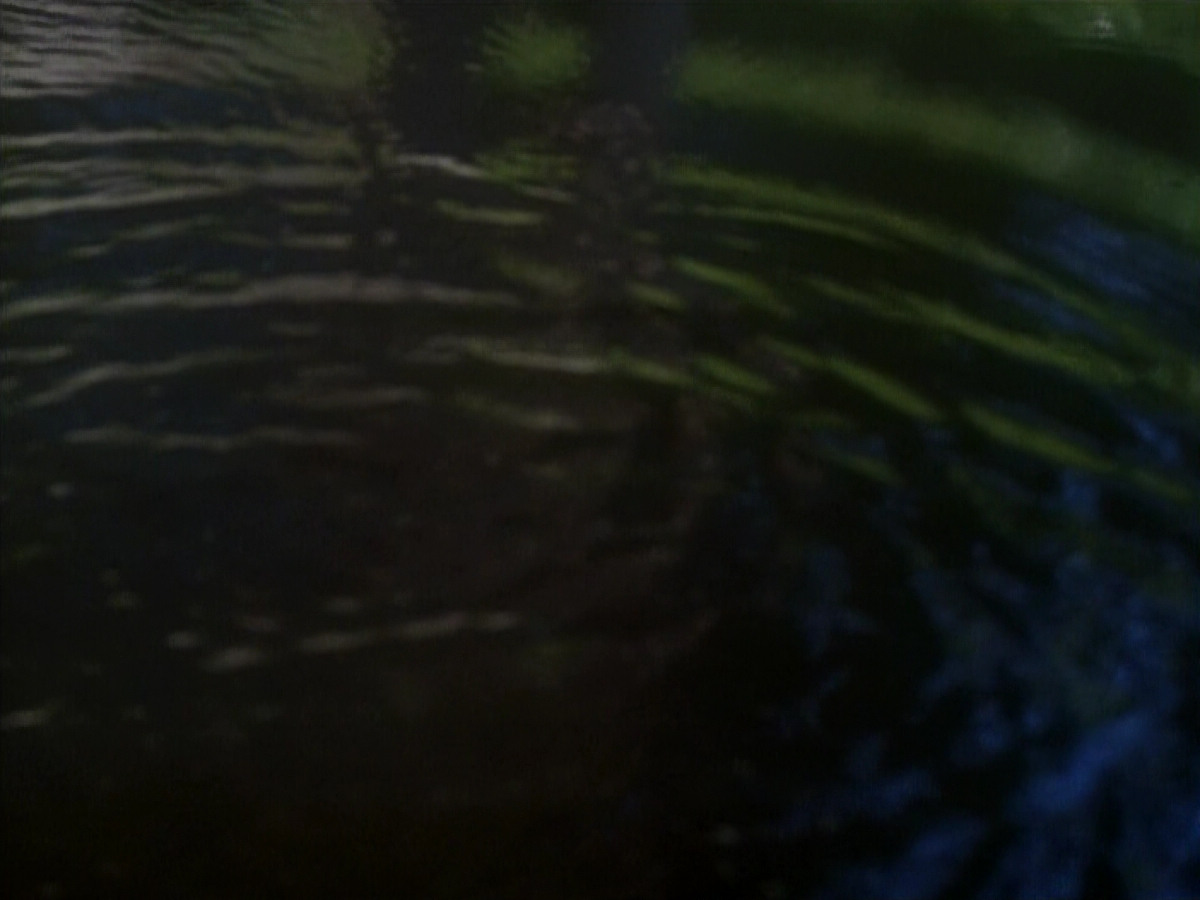 extant_StarTrekDS9_1x20-InTheHandsOfTheProphets_01556.jpg