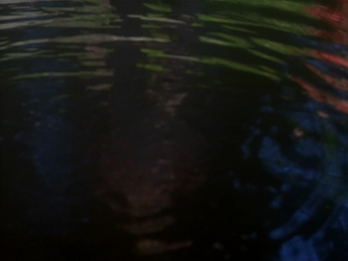 extant_StarTrekDS9_1x20-InTheHandsOfTheProphets_01558.jpg