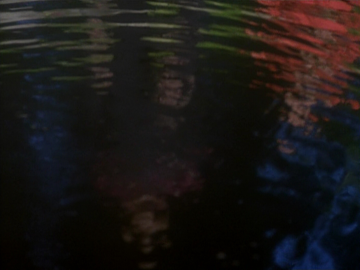extant_StarTrekDS9_1x20-InTheHandsOfTheProphets_01559.jpg