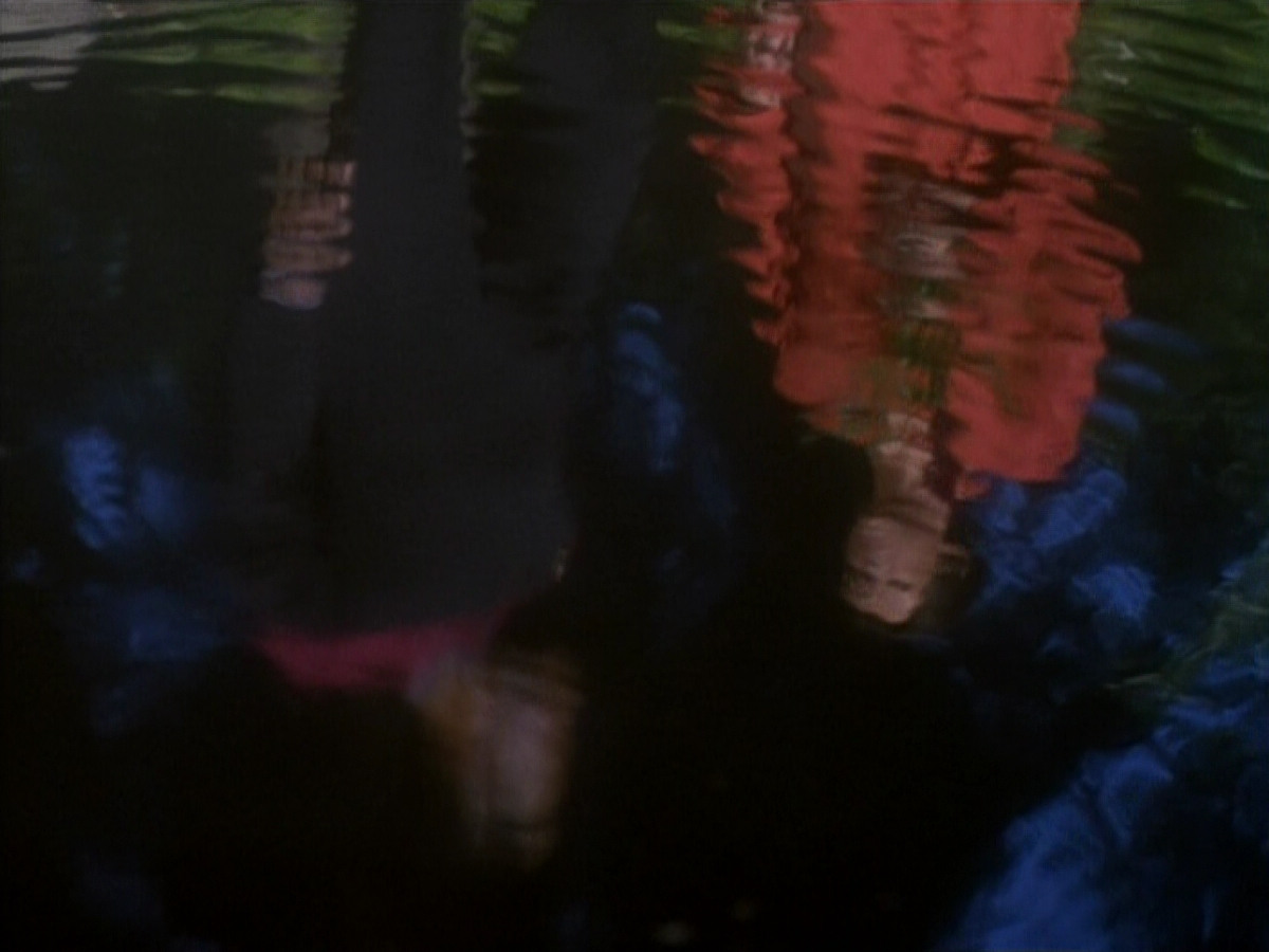 extant_StarTrekDS9_1x20-InTheHandsOfTheProphets_01563.jpg