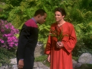 Filename=extant_StarTrekDS9_1x20-InTheHandsOfTheProphets_01567.jpg
Filesize=279KiB
Dimensions=1200x900
Date added=Jun 14, 2019 extant_StarTrekDS9_1x20-InTheHandsOfTheProphets_01567.jpg