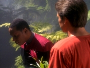 Filename=extant_StarTrekDS9_1x20-InTheHandsOfTheProphets_01572.jpg
Filesize=190KiB
Dimensions=1200x900
Date added=Jun 14, 2019 extant_StarTrekDS9_1x20-InTheHandsOfTheProphets_01572.jpg