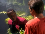 Filename=extant_StarTrekDS9_1x20-InTheHandsOfTheProphets_01573.jpg
Filesize=197KiB
Dimensions=1200x900
Date added=Jun 14, 2019 extant_StarTrekDS9_1x20-InTheHandsOfTheProphets_01573.jpg