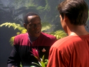 Filename=extant_StarTrekDS9_1x20-InTheHandsOfTheProphets_01578.jpg
Filesize=197KiB
Dimensions=1200x900
Date added=Jun 14, 2019 extant_StarTrekDS9_1x20-InTheHandsOfTheProphets_01578.jpg