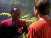 Filename=extant_StarTrekDS9_1x20-InTheHandsOfTheProphets_01580.jpg
Filesize=191KiB
Dimensions=1200x900
Date added=Jun 14, 2019 extant_StarTrekDS9_1x20-InTheHandsOfTheProphets_01580.jpg