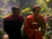 Filename=extant_StarTrekDS9_1x20-InTheHandsOfTheProphets_01640.jpg
Filesize=189KiB
Dimensions=1200x900
Date added=Jun 14, 2019 extant_StarTrekDS9_1x20-InTheHandsOfTheProphets_01640.jpg