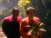 Filename=extant_StarTrekDS9_1x20-InTheHandsOfTheProphets_01647.jpg
Filesize=191KiB
Dimensions=1200x900
Date added=Jun 14, 2019 extant_StarTrekDS9_1x20-InTheHandsOfTheProphets_01647.jpg