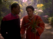 Filename=extant_StarTrekDS9_1x20-InTheHandsOfTheProphets_01667.jpg
Filesize=158KiB
Dimensions=1200x900
Date added=Jun 14, 2019 extant_StarTrekDS9_1x20-InTheHandsOfTheProphets_01667.jpg