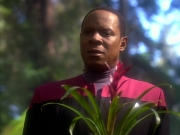 Filename=extant_StarTrekDS9_1x20-InTheHandsOfTheProphets_01687.jpg
Filesize=179KiB
Dimensions=1200x900
Date added=Jun 14, 2019 extant_StarTrekDS9_1x20-InTheHandsOfTheProphets_01687.jpg