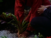 extant_StarTrekDS9_1x20-InTheHandsOfTheProphets_01723.jpg