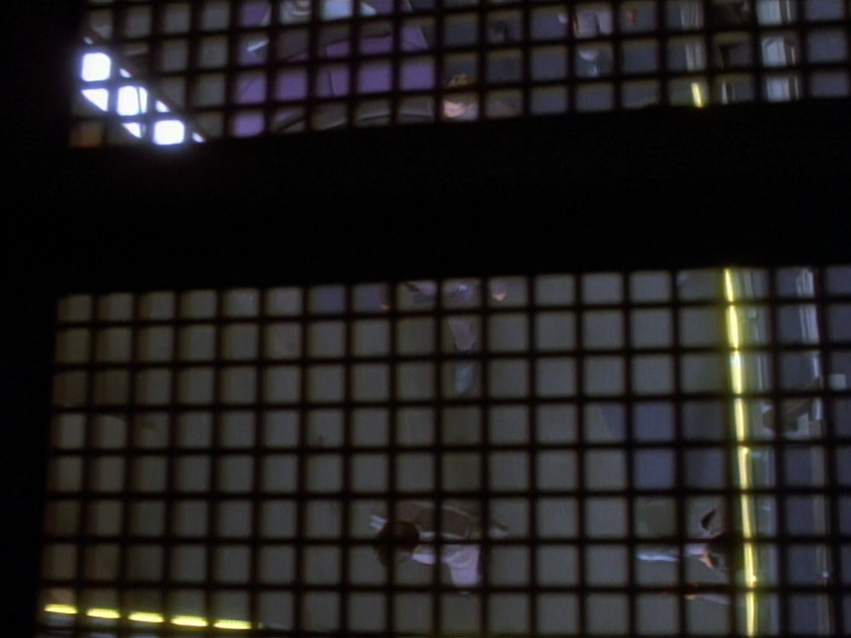 extant_StarTrekDS9_2x03-TheSiege_01439.jpg