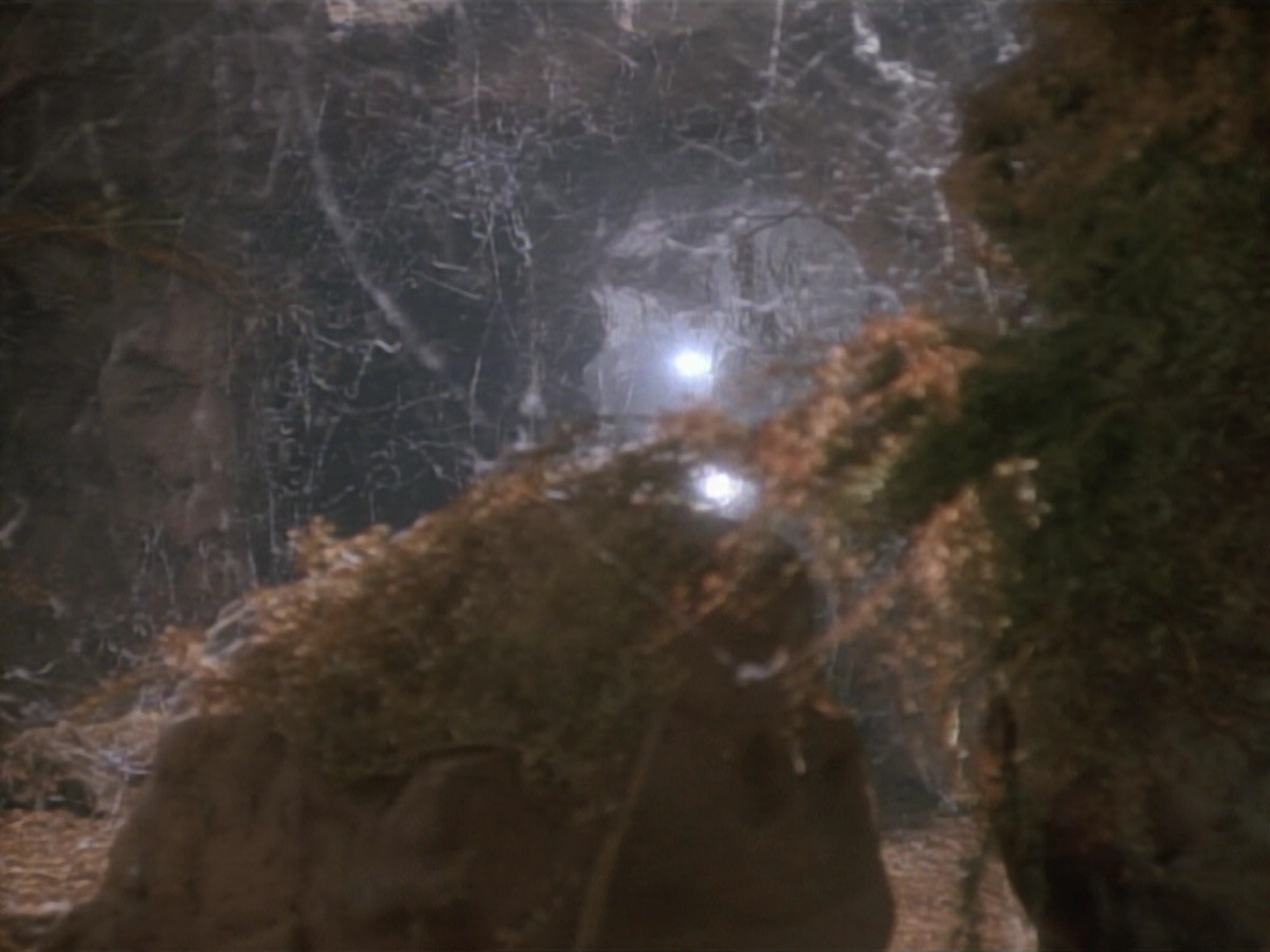 extant_StarTrekDS9_2x03-TheSiege_01453.jpg
