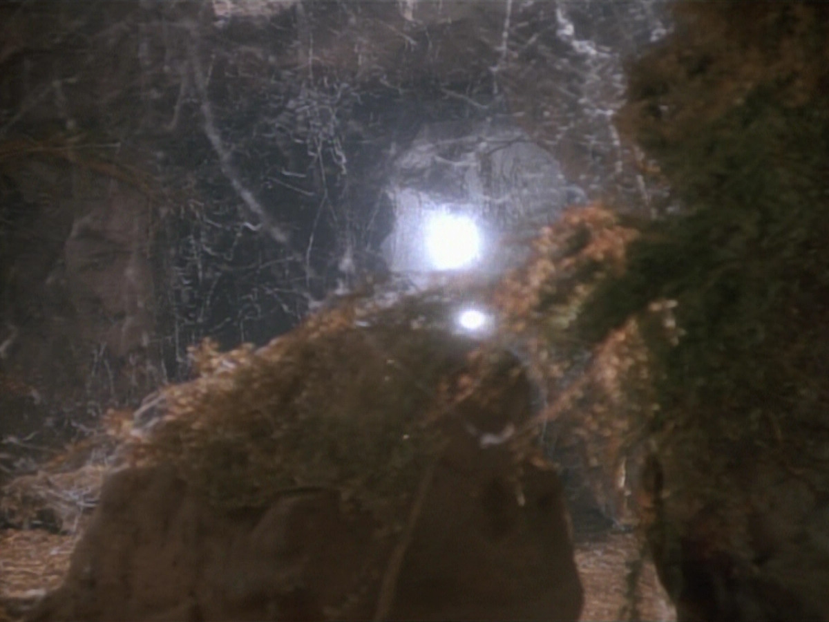 extant_StarTrekDS9_2x03-TheSiege_01454.jpg