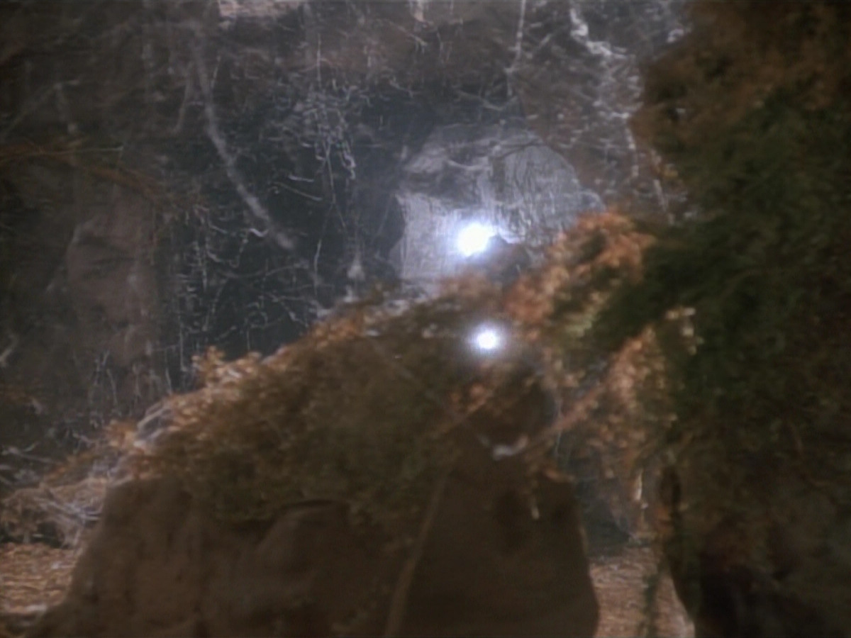 extant_StarTrekDS9_2x03-TheSiege_01455.jpg