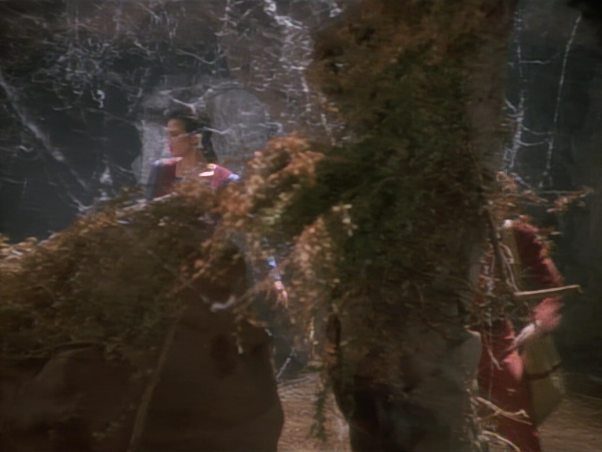 extant_StarTrekDS9_2x03-TheSiege_01472.jpg