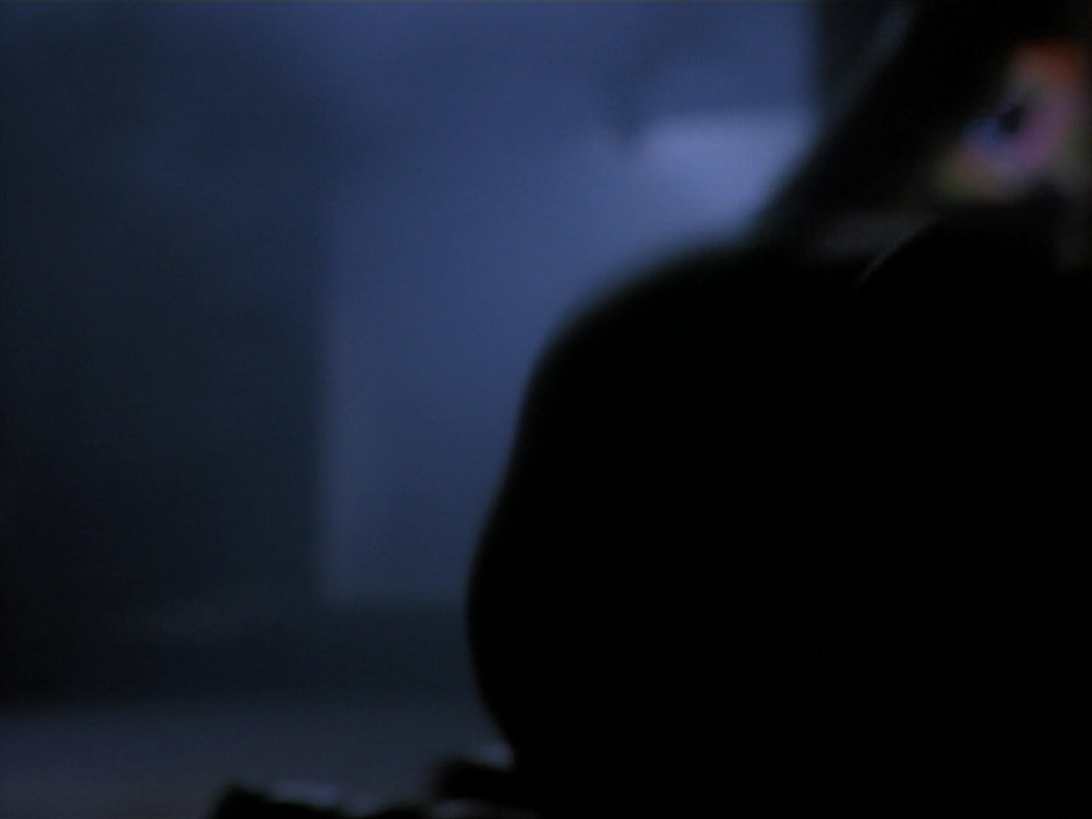 extant_StarTrekDS9_2x03-TheSiege_02428.jpg