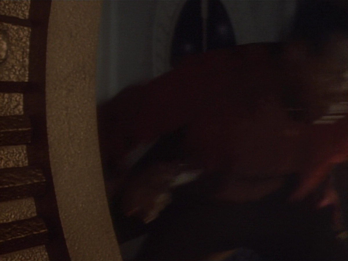 extant_StarTrekDS9_2x03-TheSiege_02433.jpg