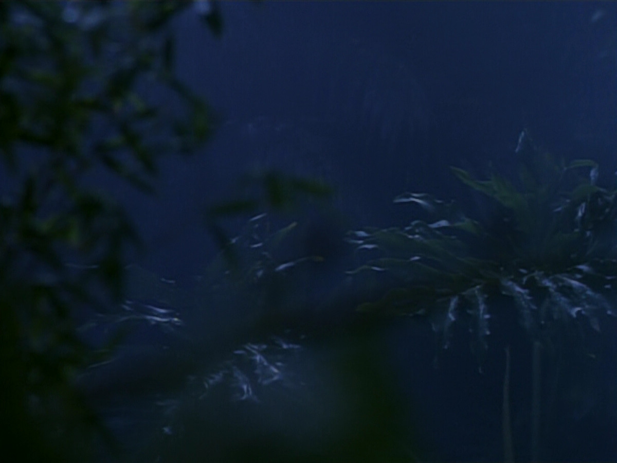 extant_StarTrekDS9_2x03-TheSiege_02779.jpg