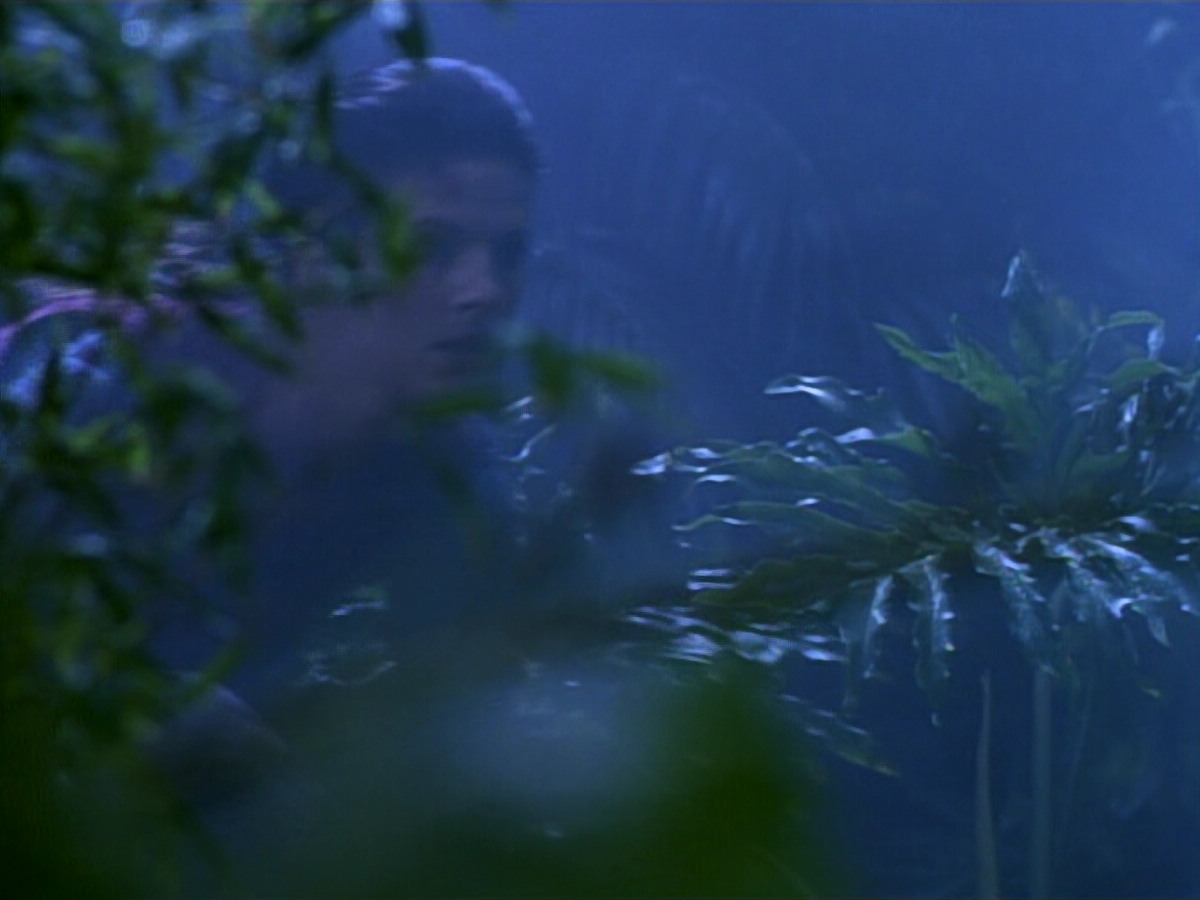 extant_StarTrekDS9_2x03-TheSiege_02780.jpg