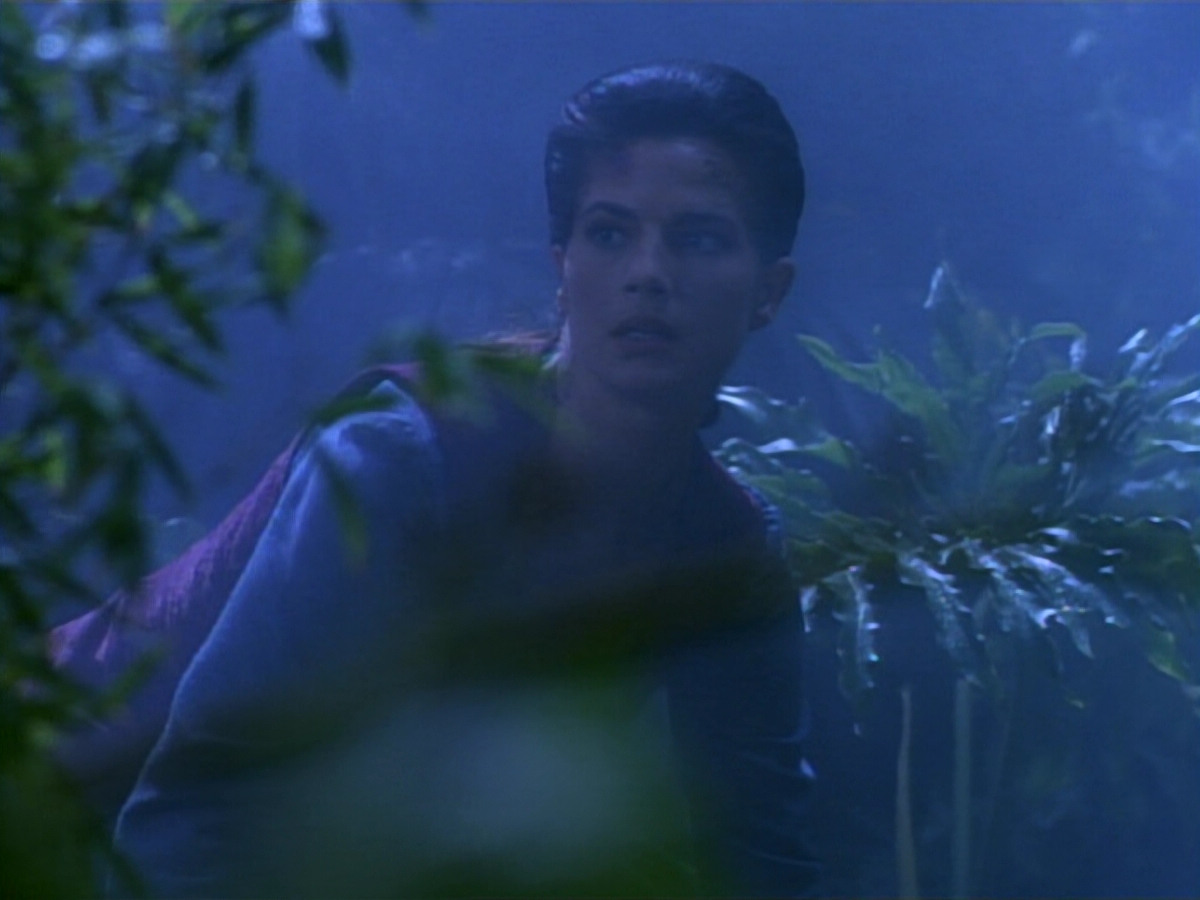extant_StarTrekDS9_2x03-TheSiege_02782.jpg