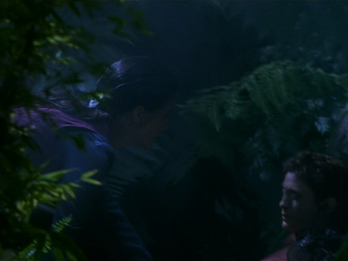 extant_StarTrekDS9_2x03-TheSiege_02788.jpg