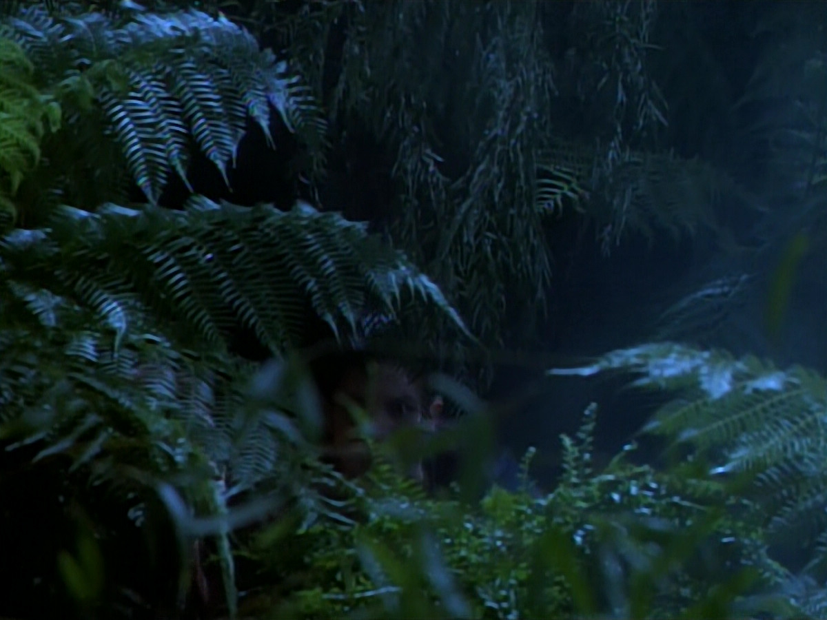 extant_StarTrekDS9_2x03-TheSiege_02836.jpg