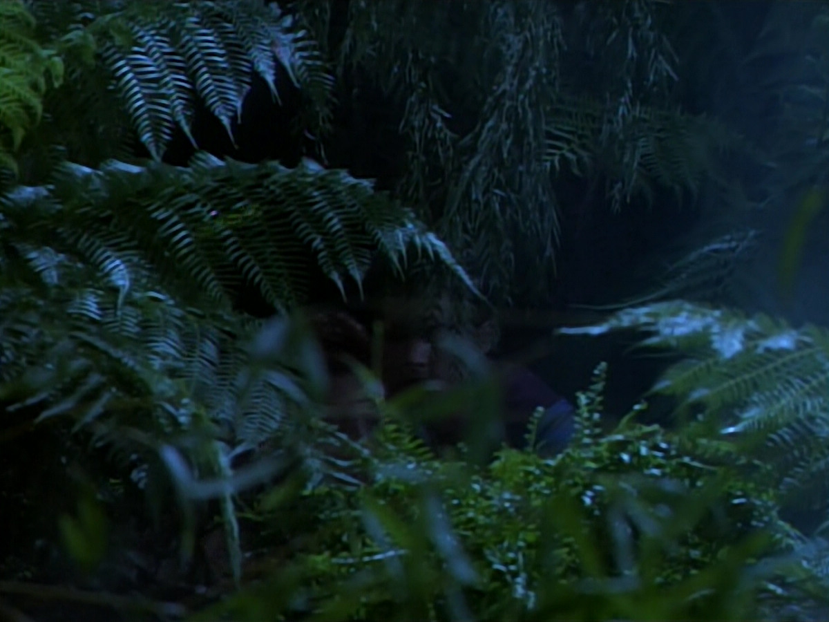 extant_StarTrekDS9_2x03-TheSiege_02837.jpg