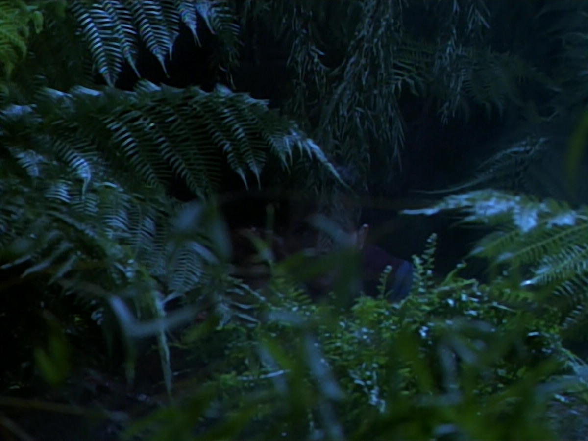 extant_StarTrekDS9_2x03-TheSiege_02838.jpg