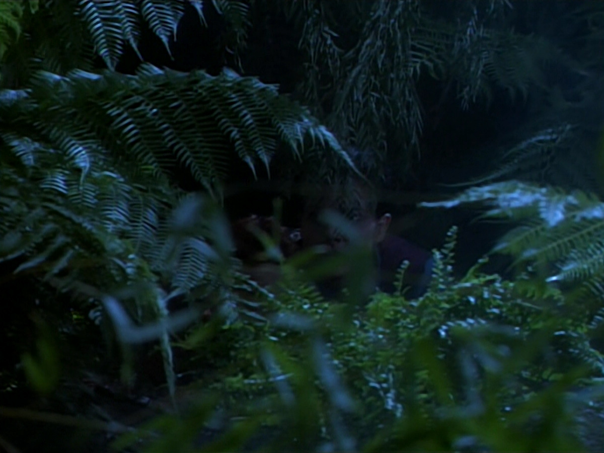 extant_StarTrekDS9_2x03-TheSiege_02839.jpg