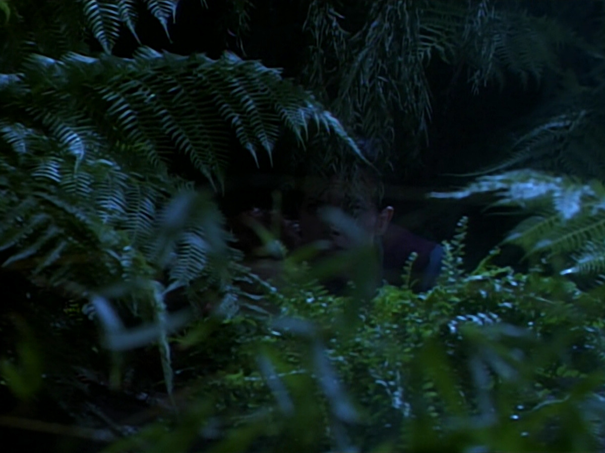 extant_StarTrekDS9_2x03-TheSiege_02840.jpg