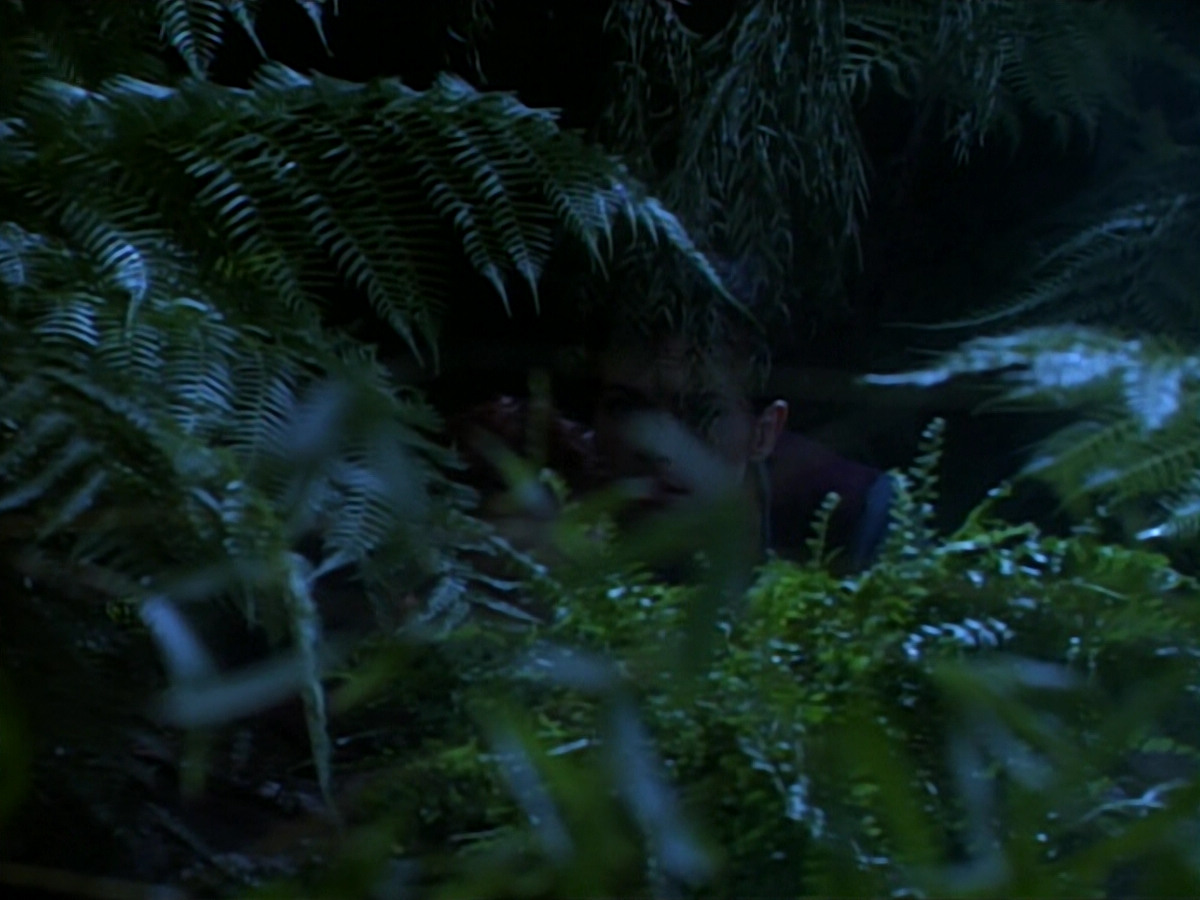 extant_StarTrekDS9_2x03-TheSiege_02841.jpg