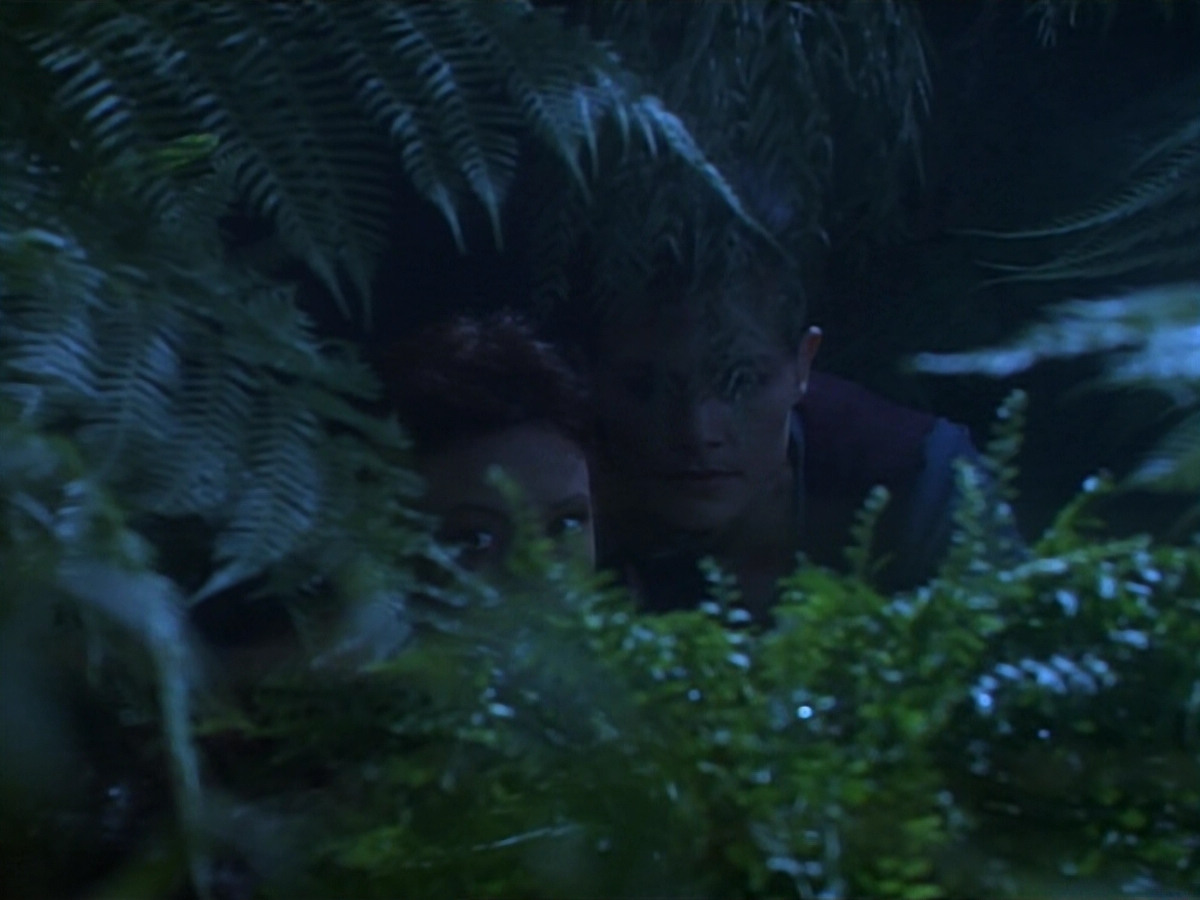 extant_StarTrekDS9_2x03-TheSiege_02845.jpg