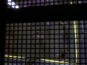 extant_StarTrekDS9_2x03-TheSiege_01440.jpg