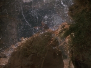 extant_StarTrekDS9_2x03-TheSiege_01461.jpg