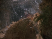 Filename=extant_StarTrekDS9_2x03-TheSiege_01463.jpg
Filesize=178KiB
Dimensions=1200x900
Date added=Jun 21, 2019 extant_StarTrekDS9_2x03-TheSiege_01463.jpg