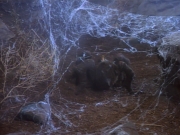 Filename=extant_StarTrekDS9_2x03-TheSiege_01481.jpg
Filesize=240KiB
Dimensions=1200x900
Date added=Jun 21, 2019 extant_StarTrekDS9_2x03-TheSiege_01481.jpg