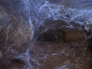 Filename=extant_StarTrekDS9_2x03-TheSiege_01482.jpg
Filesize=244KiB
Dimensions=1200x900
Date added=Jun 21, 2019 extant_StarTrekDS9_2x03-TheSiege_01482.jpg