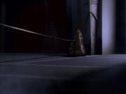 extant_StarTrekDS9_2x03-TheSiege_02425.jpg
