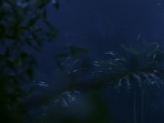 Filename=extant_StarTrekDS9_2x03-TheSiege_02779.jpg
Filesize=114KiB
Dimensions=1200x900
Date added=Jun 21, 2019 extant_StarTrekDS9_2x03-TheSiege_02779.jpg