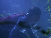 Filename=extant_StarTrekDS9_2x03-TheSiege_02785.jpg
Filesize=140KiB
Dimensions=1200x900
Date added=Jun 21, 2019 extant_StarTrekDS9_2x03-TheSiege_02785.jpg
