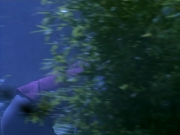 extant_StarTrekDS9_2x03-TheSiege_02786.jpg